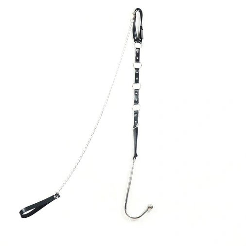 Anal Kinky 5853 Leash EverydayUse with Collar and Hook 0315